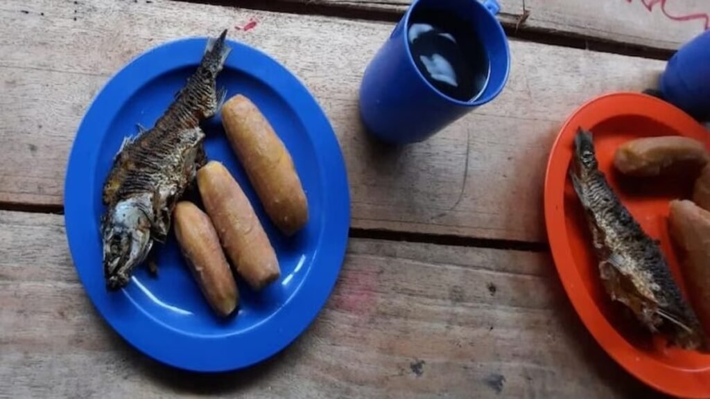 Perseguição religiosa em Cuba: Crise alimentar atinge igrejas 2 Perseguição religiosa em Cuba: igrejas enfrentam crise de alimentos e escassez em 2026