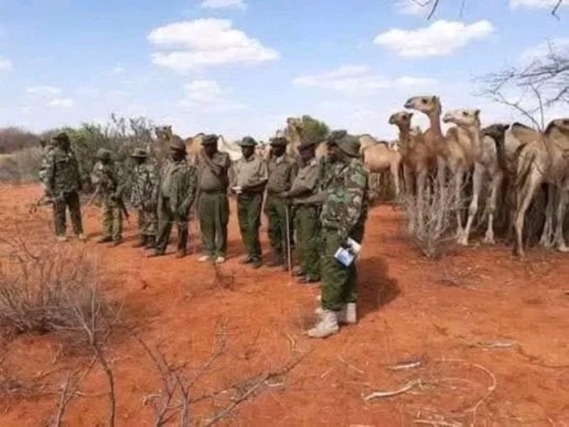Muslim Herders Kill