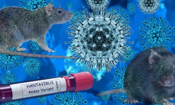 Morte por hantavírus