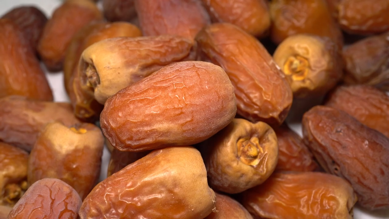 Israel Celebra Retorno da Tamareira Bíblica: Frutos de uma História de 2.000 Anos 1 Israel exalta feito