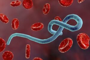 Jovens em Conflito: Hospital no Congo Sob Ataque Durante o Surto de Ebola