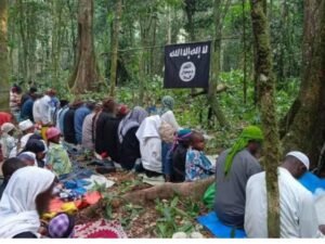 Islamic Extremists Release