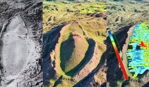 Árvores fossilizadas dividem