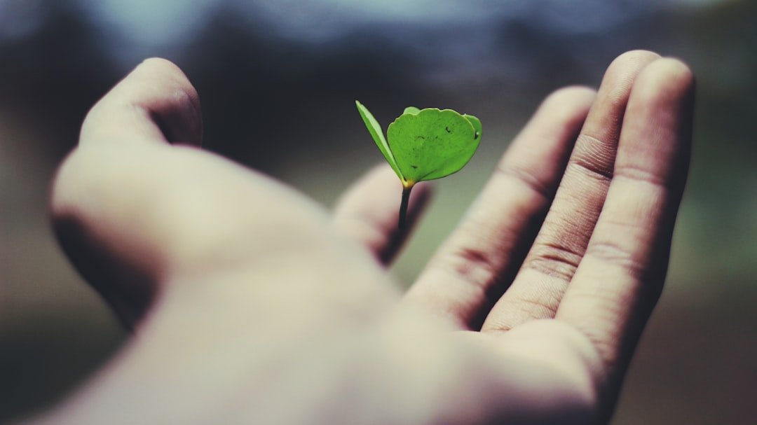 como crescer espiritualmente? estudo bíblico