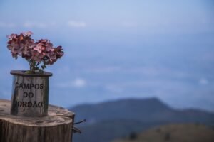 Como descobrir o propósito de Deus para minha vida? | Estudo Completo