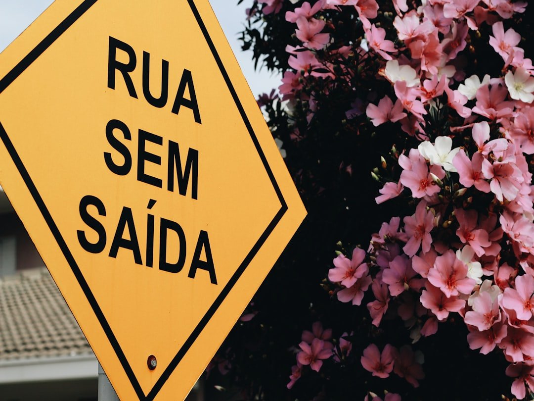 como saber qual é o meu chamado estudo bíblico