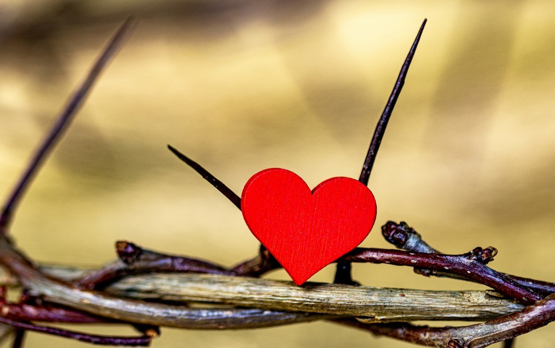 Como o Amor Incondicional de Deus Transforma Vidas 1 Amor de Deus — Como o Amor Incondicional de Deus Transforma Vidas